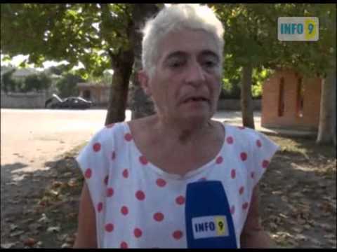 პრეზიდენტთან შეხვედრას ცაისში