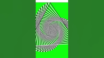 Python Turtle Graphics 🦋🐍