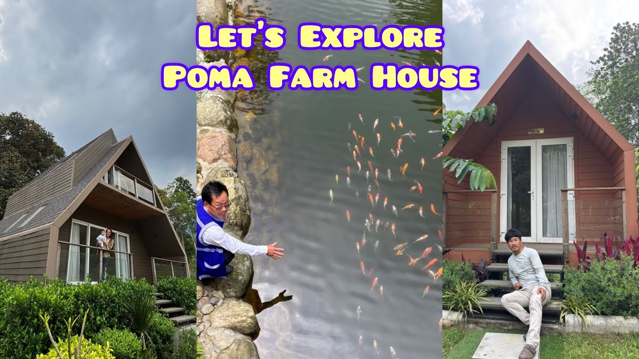 Poma Farm house Only Few Km Away From Itanagar // Itanagar // Arunachal Pradesh // Our diary