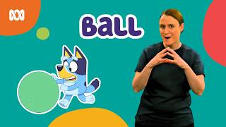 Learn Auslan with Bluey! Sign language for kids | ABC Kids