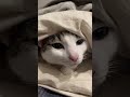 小鉄さんは本当に寒がりですね〜😂