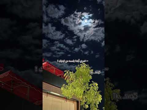 فضل شاكر اليسا جوا الروح بدون موسيقى