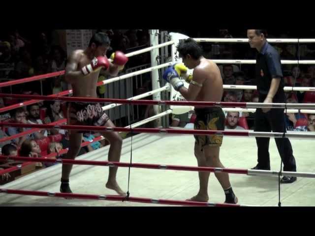 Acheter MMA combat coquille impression lettre tigre Muay Thai