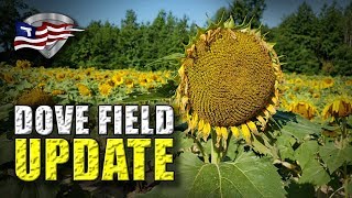Dove Field Update 2019 / How To Plant A Dove Field Part 2