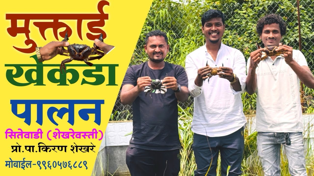 खेकडा पालनला एकदा आवश्य भेट द्या🦀ताजा खेकडा मिळण्याचे एकमेव ठिकाण मुक्ताई खेकडा पालन सितेवाडी
