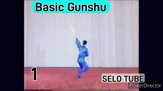 Ethio Huoyuanjia wushu/Basic Gunshu 1-5 @Boyka Chinese wushu.2021!