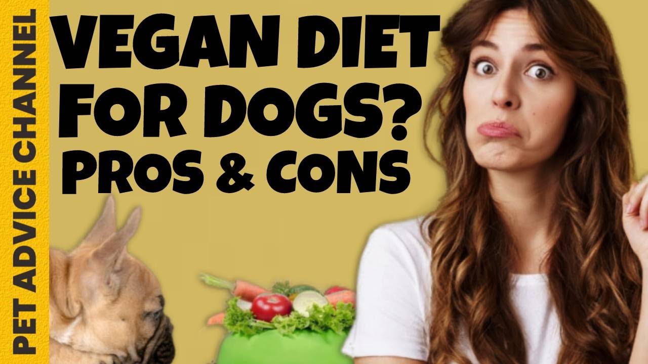 Can dogs vegan and be healthy? YouTube