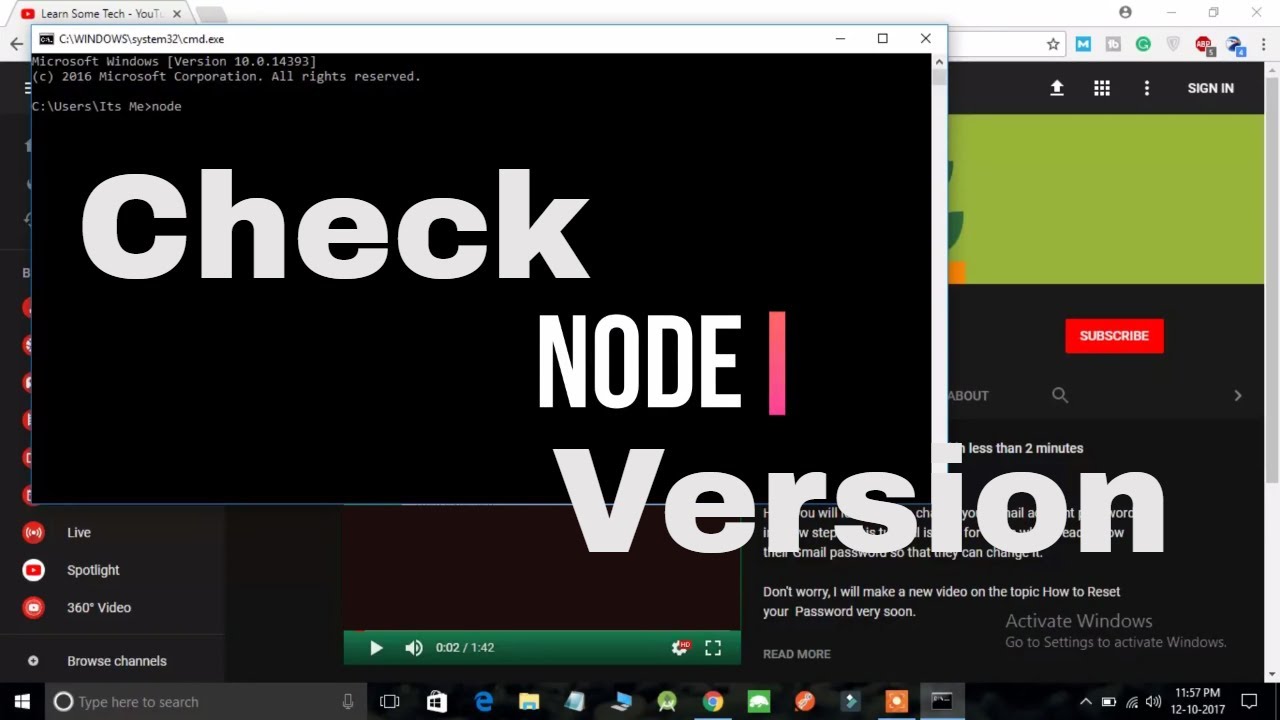 get node js version numver