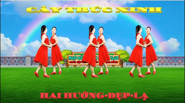 CÂY TRÚC XINH/ DÂN VŨ ĐẸP-DỄ HỌC-MỚI ( BIÊN ĐẠO : NGÂN HÀ)