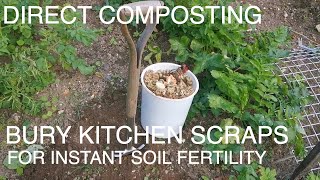 Direct Composting Bury Kitchen Scraps Directly for Fast Soil Fertility