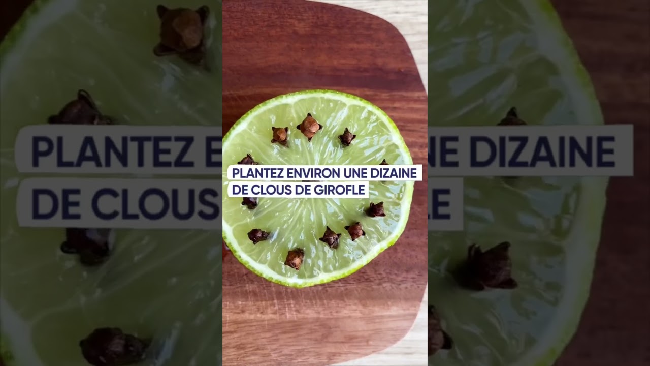 DIY : Recettes naturelles Anti-moustique-Anti-mouche-Anti-araignée -  Astuces/Recette facile. 