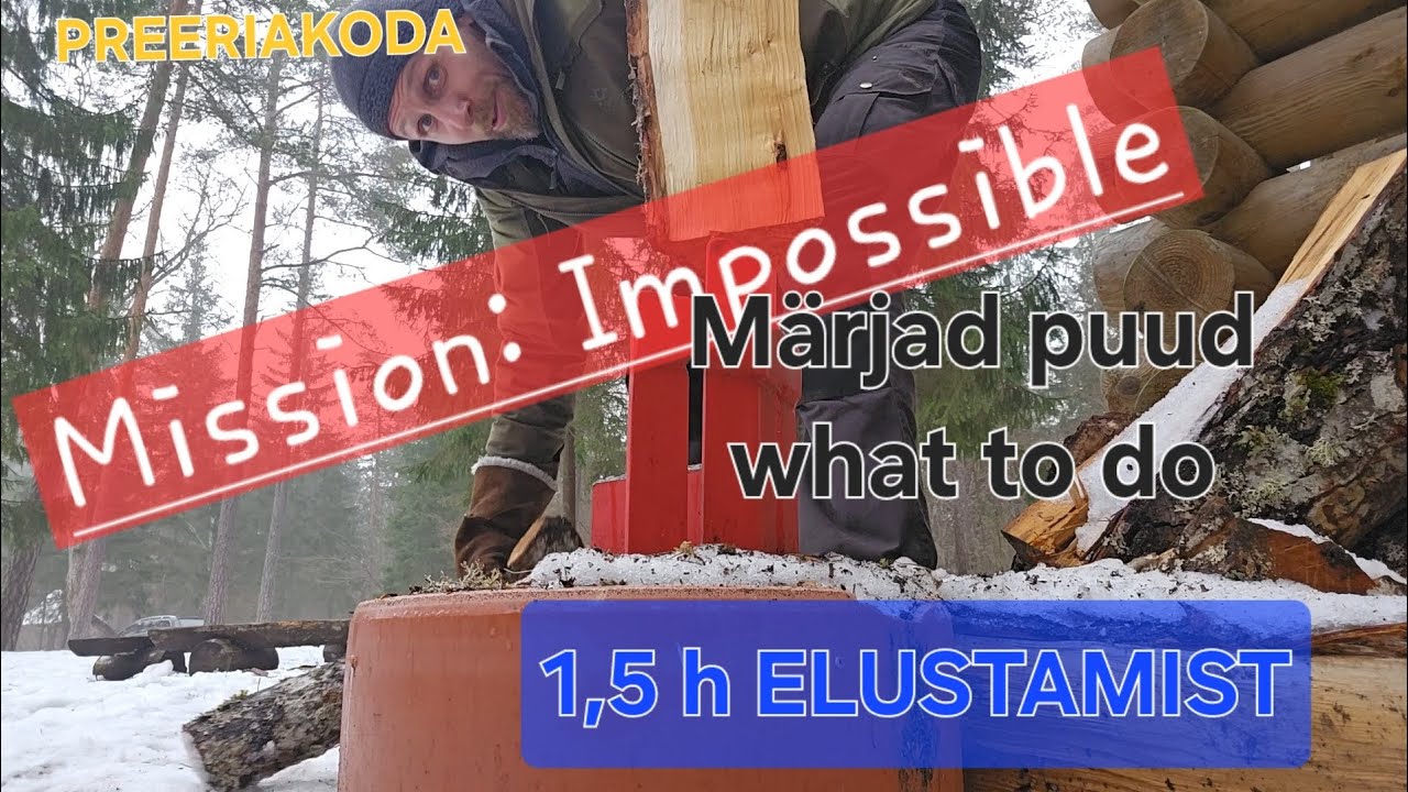 Lõkkereiv avalikul lõkkeplatsil vs metsas.         🤟🤠🤟