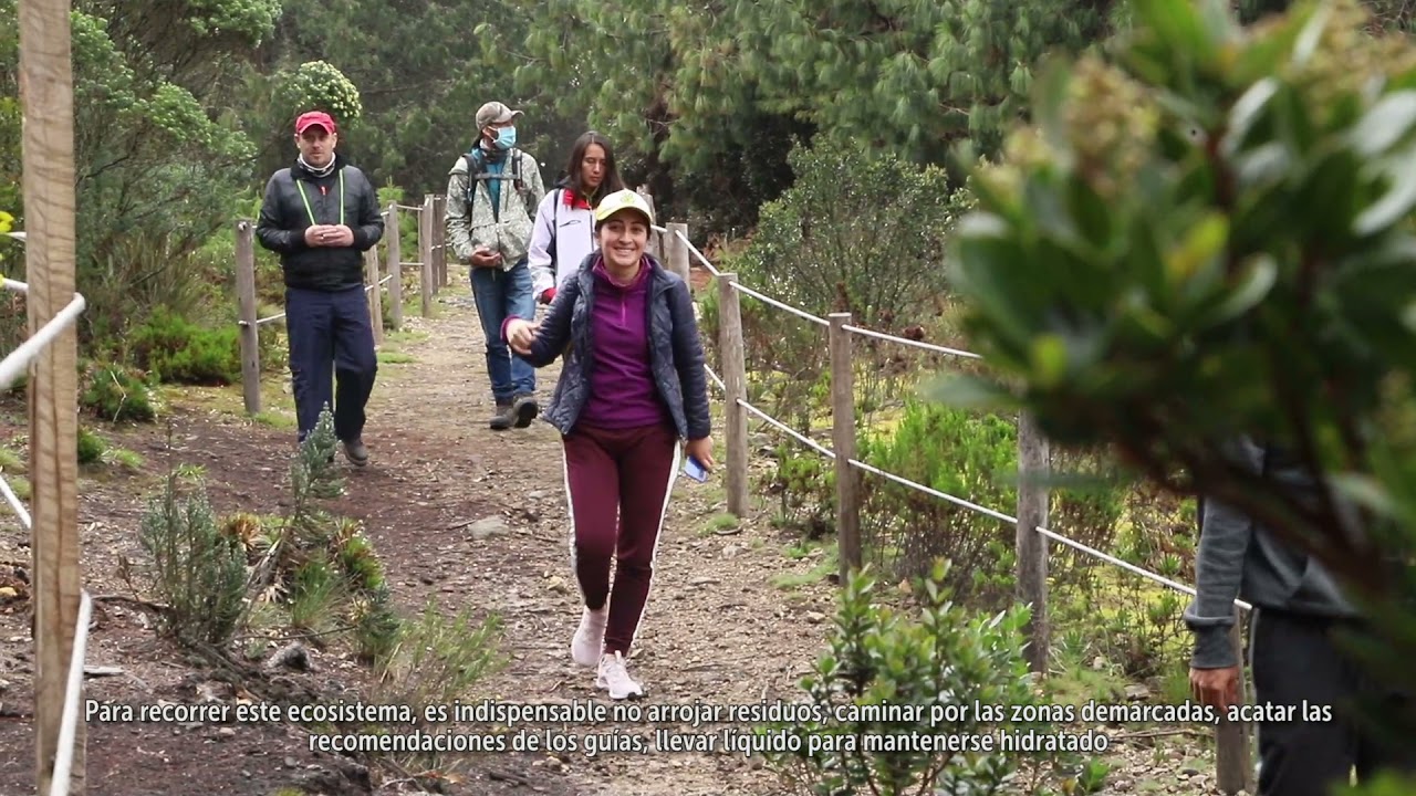 Conoce y disfruta del Camino de los Cerros Guadalupe Aguanoso YouTube