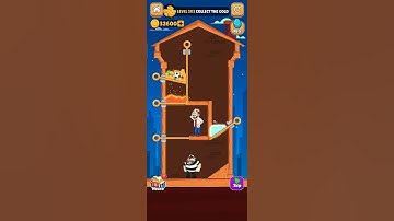 Home pin game Level 302