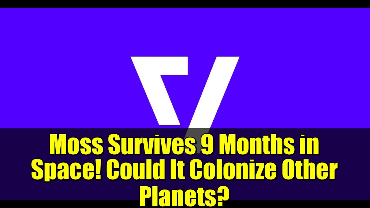 Moss Survives 9 Months in Space! Could It Colonize Other Planets?