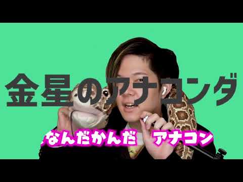 金星のアナコンダ