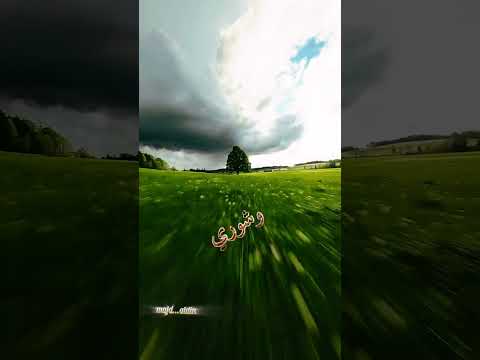 مزاجية واحساسي