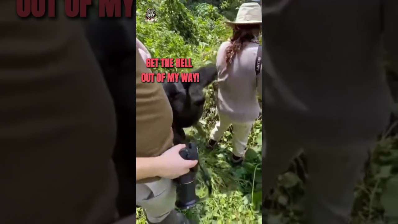 Уморительная озвучка животных | Эпизод 01