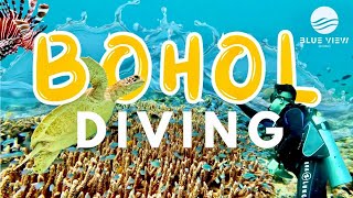 SCUBA DIVING IN BOHOL, PHILIPPINES IN 2023 | Panglao Island Full Scuba Diving Vlog Experience in 4K