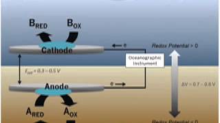 ENCE411 Benthic Microbial Fuel Cells