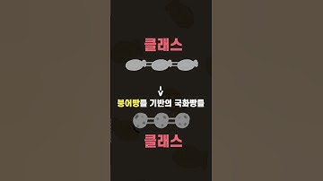 붕어빵으로 이해하는 객체지향 프로그래밍 #shorts #OOP #객체지향 #코딩