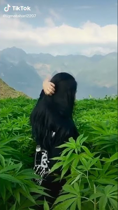 Story wa polosan