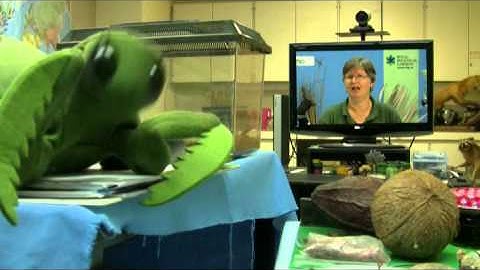 Distance Learning and Videoconferencing