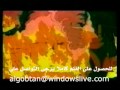 قرية الزيتون قرية الزيتون