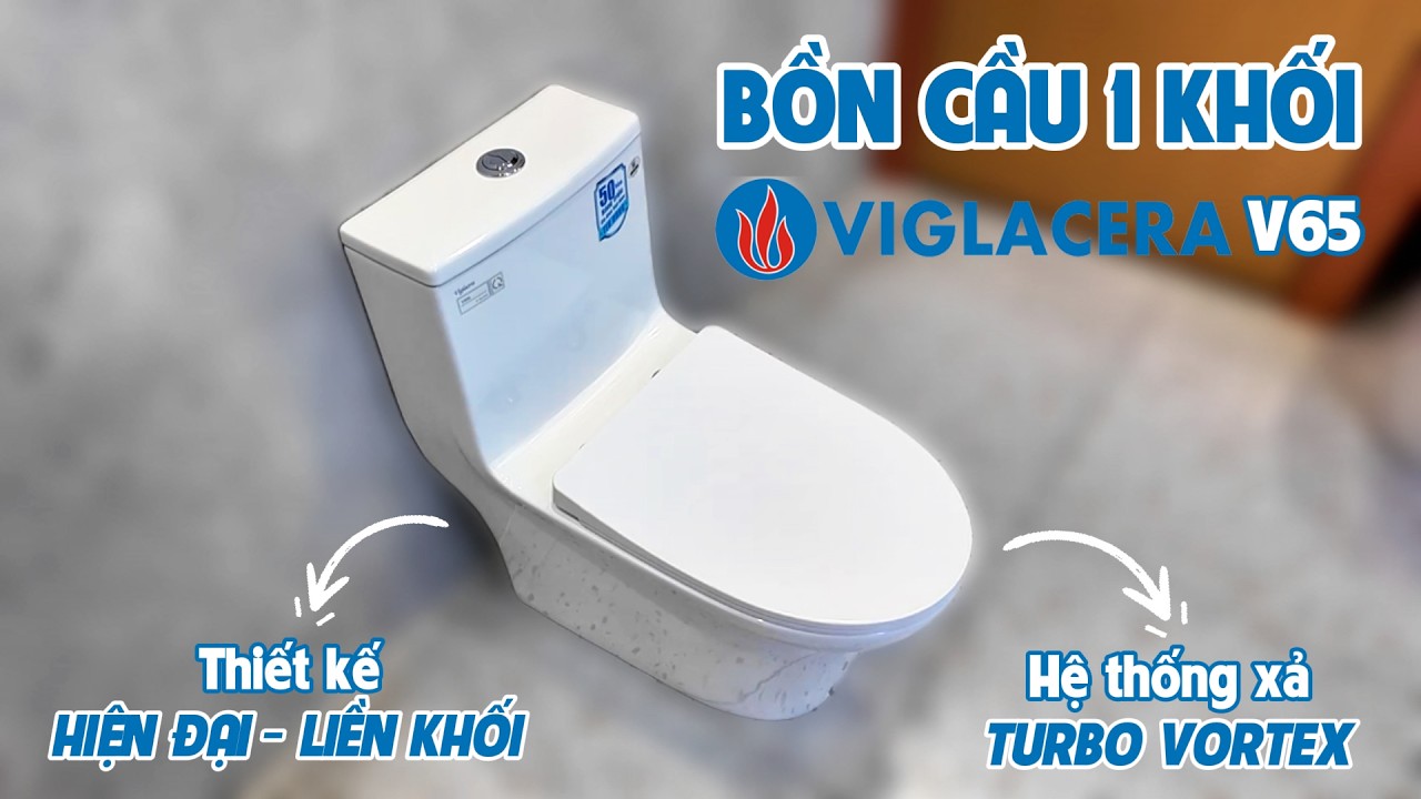 Bồn cầu 1 khối Viglacera V65 nắp êm (+ vòi xịt VG826 & van VG853)