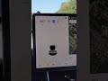 Issue after Tesla Software Update 2021.4.12! #shorts