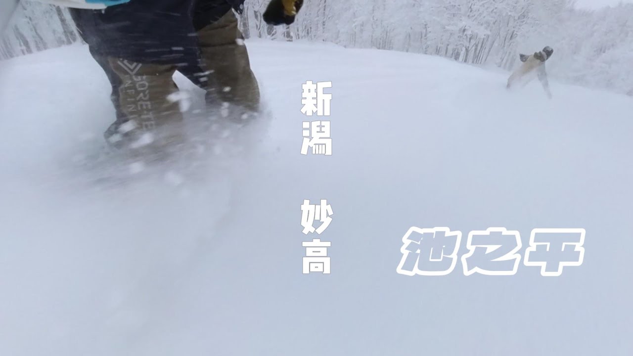 [🏂尋找Japow的故事🏂] 池之平滑雪場 妙高 新潟 