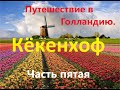 Путешествие в Голландию.  Пятая часть. Кёкенхоф