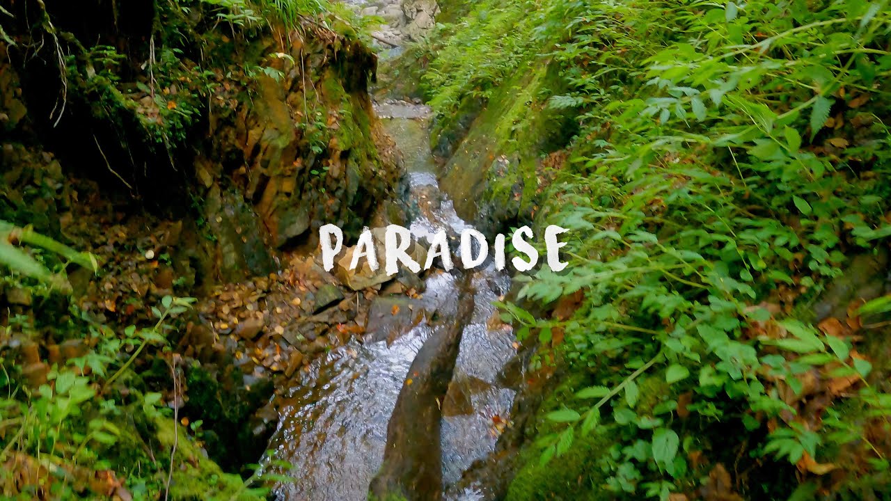 行き着いたそこは渓魚の楽園【渓流釣り】