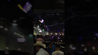 Escapede chanses 2009