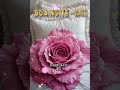 #boa noite para você que Deus te abençoe amém