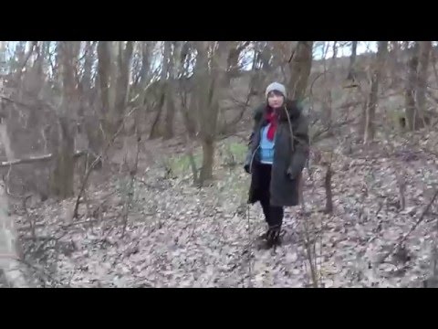 Елки-палки лес густой