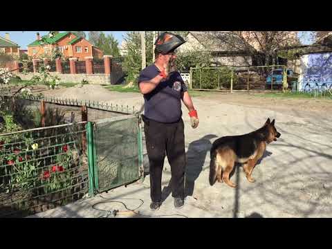 🏡 Благоустройство участка - Пятница - день снятый на Айфон
