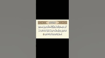 سورة البقرة آية 216 القارئ الشيخ ياسر الدوسري