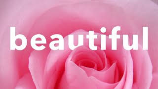 [No Copyright Background Music] Beautiful Piano Romantic Vocals Acoustic | I'M On My Way By Avanti
