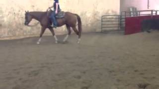 Iota B Rapt N White-Western