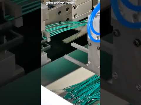 Electronic Wire Dual Head Dip Tinning Machine