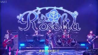 熱色スターマイン 歌詞 Roselia ふりがな付 歌詞検索サイト Utaten