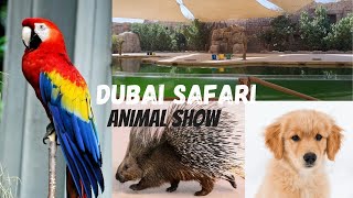 Dubai Safari Park Animal Show at the Asia Village theatre screenshot 2