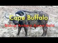760 gr MISSILE! Cape Buffalo Arrow Build (Bishop Archery)