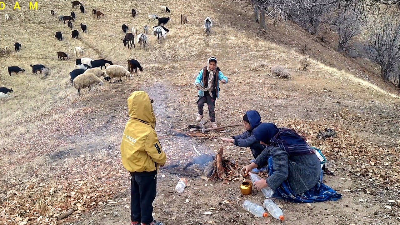 Nomadic life: Mother with her children taking sheep to pasture