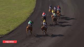 Vidéo de la course PMU PRIX DE FALOT