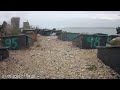 Coquet Island: 1 Nesting Terrace🌙20/05/26
