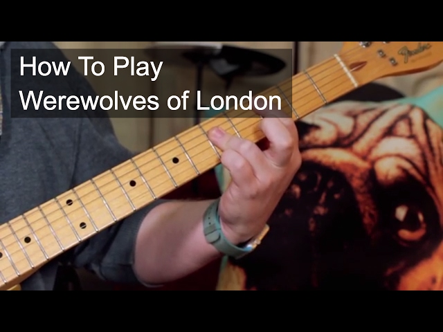 Werewolves Of London - Guitar Chords/Lyrics