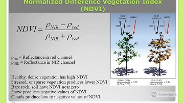Class 12 CBSE PART 5 | Remote Sensing and GIS | Geography, Social Science |