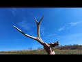 Metal Detecting And Searching An Old Farm In West Virginia